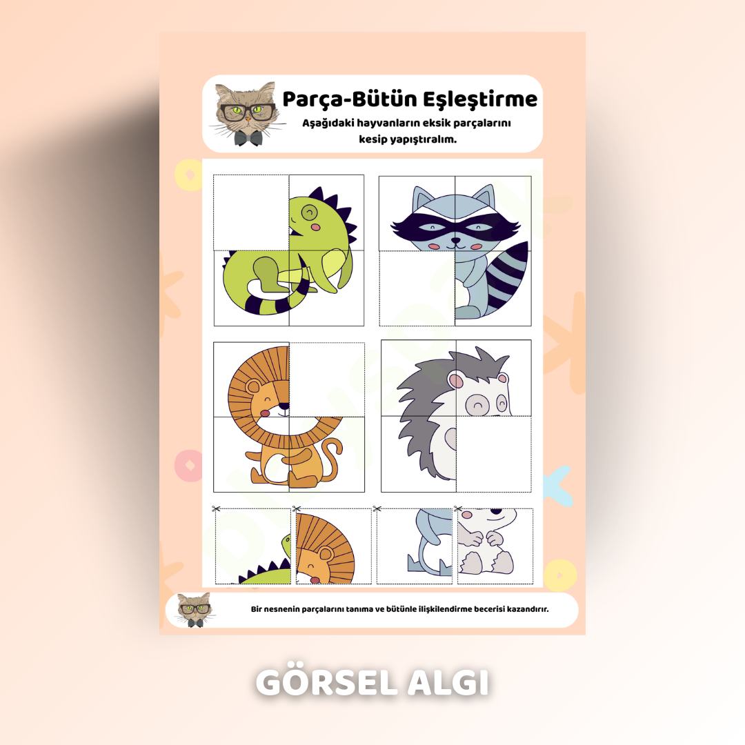 playspark™ Okul Öncesi Çocuklar İçin Akıllı Adımlar E-Kitabı